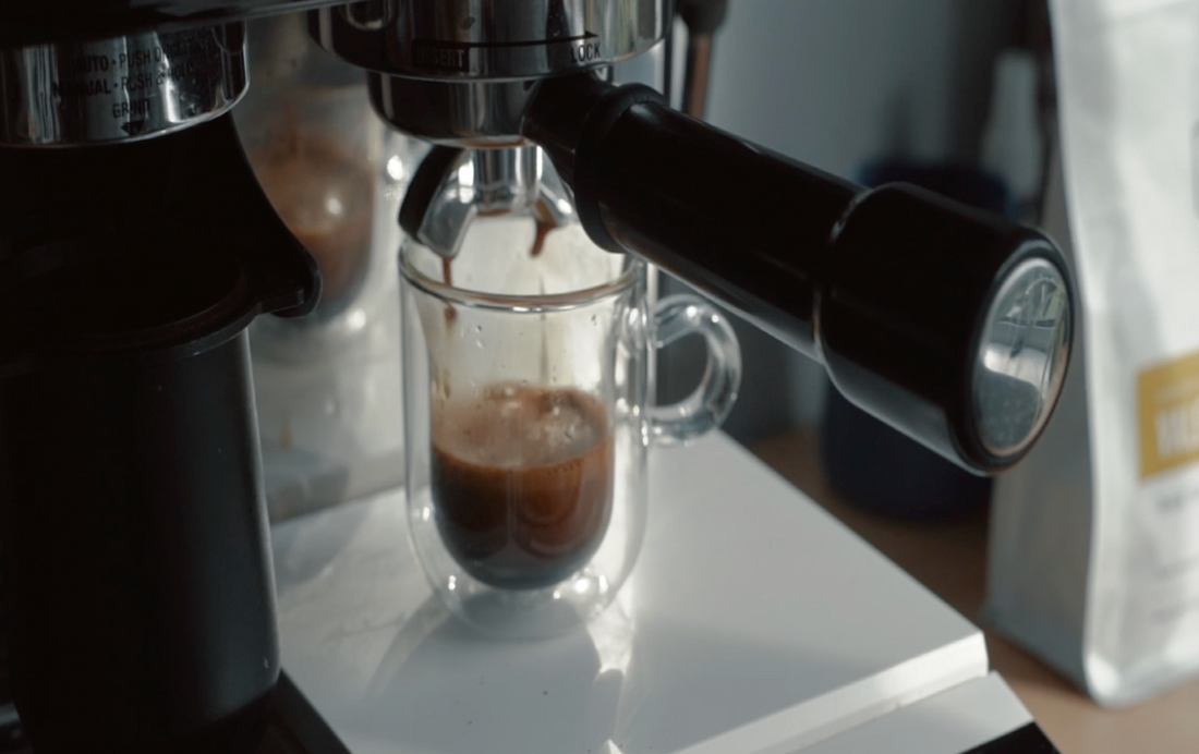 Brew Guide: Espresso